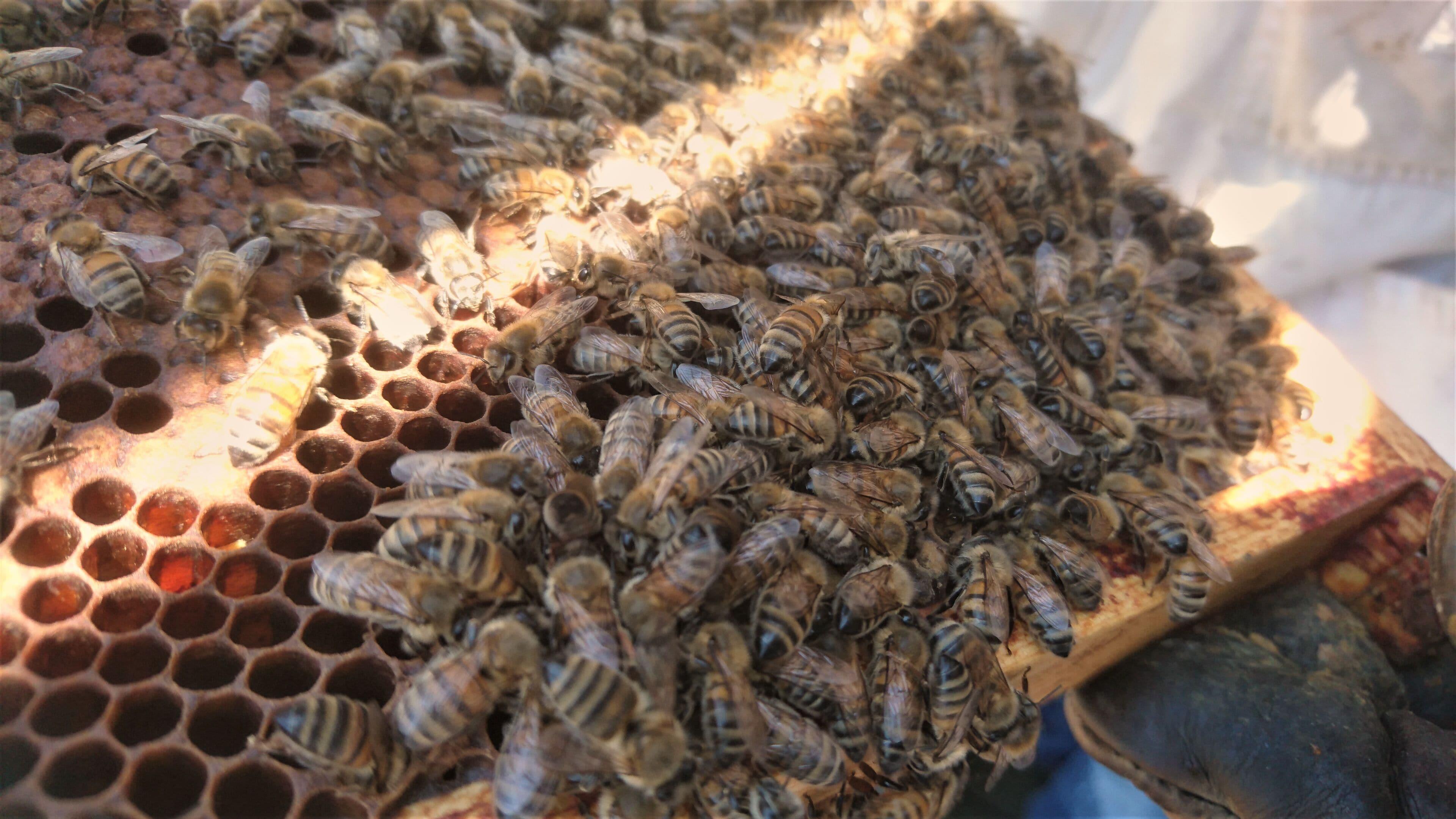 Hotel Express Paris-canal De La By Ihg Parigi